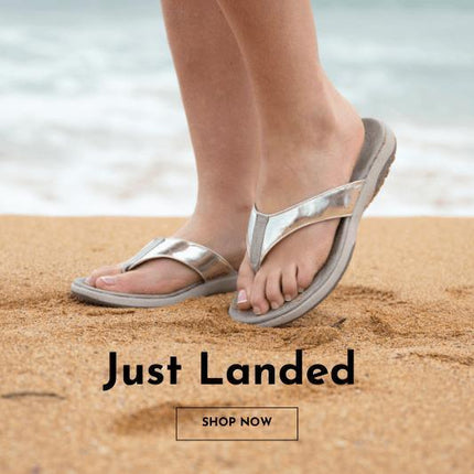 Collection image for: Just Landed